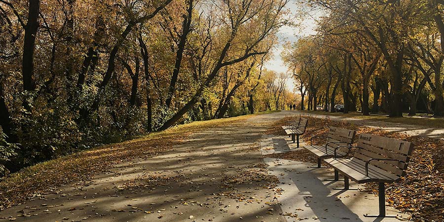 an outdoor park in Saskatoon, Saskatchewan Canada with several trees and benches