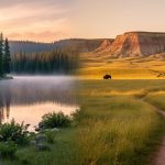 Wide landscape showing boreal forest and a lake transitioning into prairie grasslands with distant badlands hills and grazing bison silhouettes.